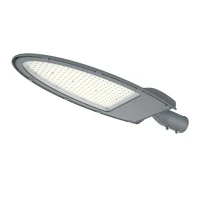 100 Watt Sokak Lambası